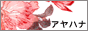 アヤハナ